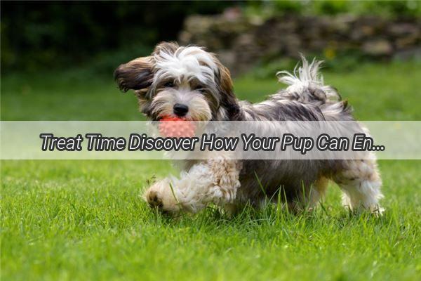 Treat Time Discover How Your Pup Can Enjoy the Sweet and Sour Delight of Hawthorn Sticks